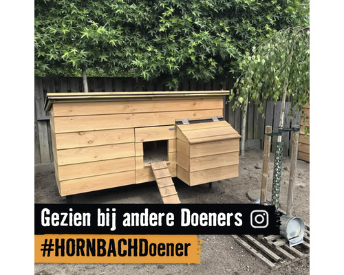 Houten kippenhok in een tuin met een loopplank en een legnest voor een houten schutting. Instagram Logo.