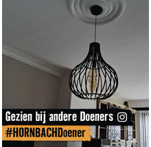 Zwarte hanglamp met kooi-ontwerp en decoratieve lichtbron aan een plafond met rozet.