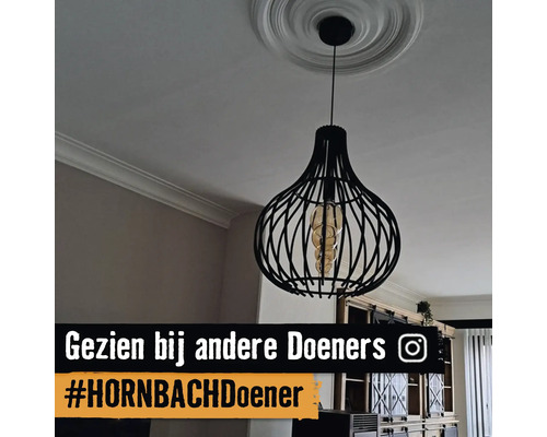 Zwarte hanglamp met kooi-ontwerp en decoratieve lichtbron aan een plafond met rozet.
