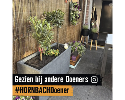 Rechthoekige grijze plantenbak met groene planten op een terras voor een bamboeschutting.