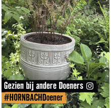 Decoratieve keramische plantenpot met reliëfpatroon in een tuin omgeven door planten.