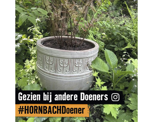 Decoratieve keramische plantenpot met reliëfpatroon in een tuin omgeven door planten.