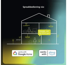 Illustratie van smart home spraakbediening voor verlichting en sensoren. Google Home Logo en Amazon Alexa Logo.