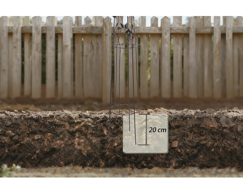 Metalen plantenobelisk met een insteekdiepte van 20 centimeter in de tuingrond voor een houten schutting.