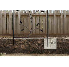 Metalen klimrek met bladmotief, installatiediepte van 24 centimeter in de grond weergegeven.