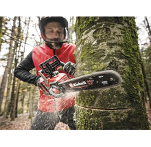 Persoon zaagt een boomstam in het bos met een Einhell accu-kettingzaag, zwaardlengte 35 centimeter.