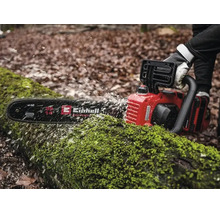 Einhell kettingzaag zaagt een met mos bedekte boomstam in het bos, zaagsel vliegt, 35 centimeter zwaardlengte.