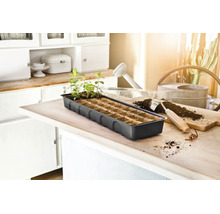 Kweekbak voor zaden met jonge plantjes op een keukentafel naast een plantschepje en een gieter.