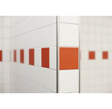 Wandtegels met decoratieve tegels in een badkamermuur met een metalen tegelprofiel als hoekbescherming.