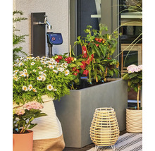 Gardena besproeiingscomputer aangesloten op een kraan op een terras met plantenbakken en groenteplanten.