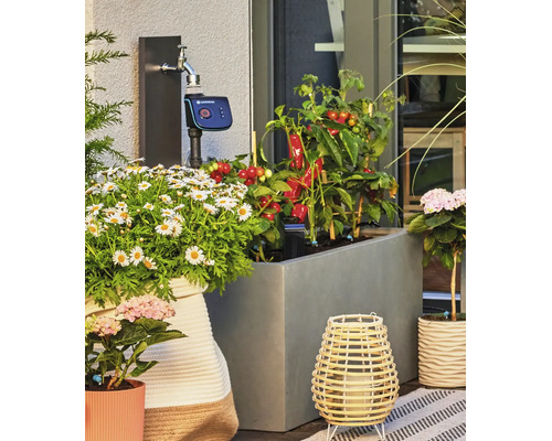 Gardena besproeiingscomputer aangesloten op een kraan op een terras met plantenbakken en groenteplanten.