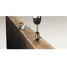 Een boormachine boort een gat in een houten plank, ernaast liggen schroeven.