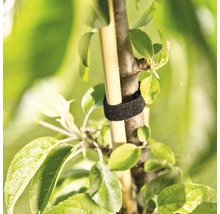 FLORASELF Plantenbinder klittenband 12 mm x 5 m