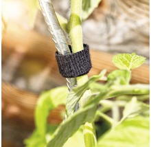 FLORASELF Plantenbinder klittenband 12 mm x 5 m