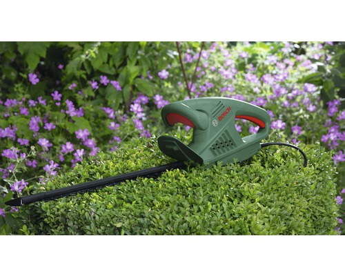 Bosch heggenschaar op buxus voor bloemen