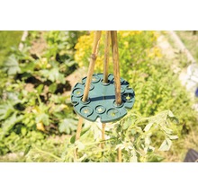 Bamboe stokhouder in tuingebruik voor plantondersteuning