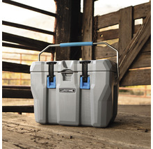 Grijze koelbox met handvat van Lifetime met een inhoud van 26 liter