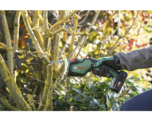 Iemand gebruikt een Bosch accusnoeizaag om een tak af te zagen.