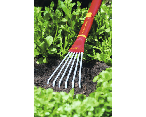 Wolf Garten bladhark in de tuin met sla