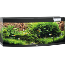 JUWEL Aquarium Vision LED zwart 450 L, 151x61x64 cm-thumb-0