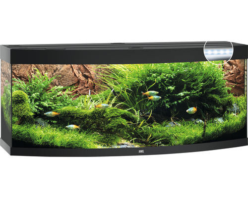 JUWEL Aquarium Vision LED zwart 450 L, 151x61x64 cm-0