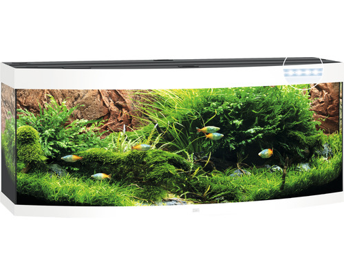 JUWEL Aquarium Vision LED wit 450 L, 151x61x64 cm
