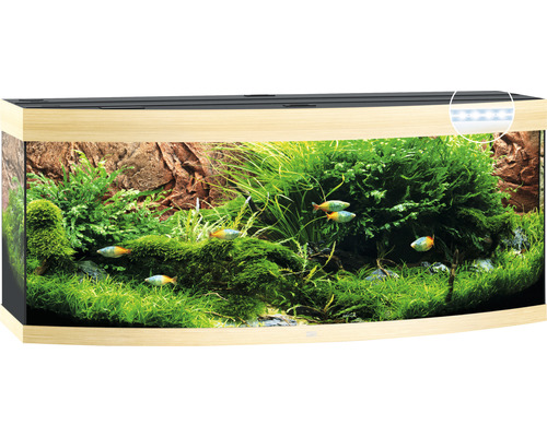 Gebogen aquarium met planten en vissen