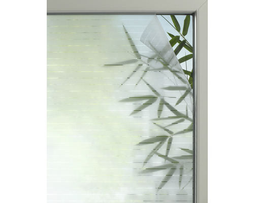 Venster met decoratieve privacyfolie