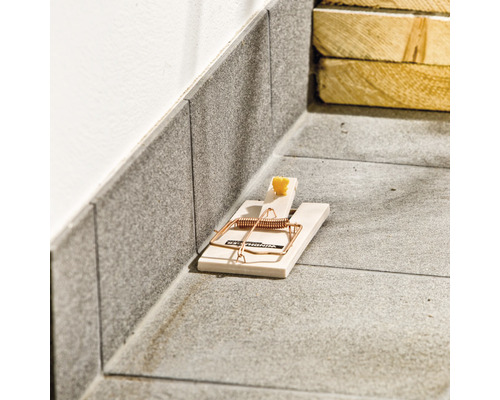 Muizenval met kaas als lokaas op de vloer