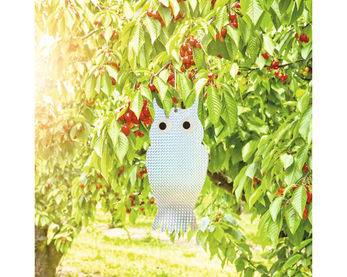 Decoratieve uil als vogelverschrikker in boom