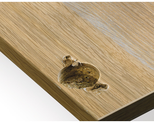 Detailopname van een beschadigde houten plaat met gat