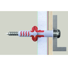 Bevestigde universele plug met schroef in de wand