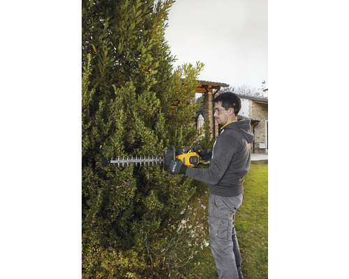 Man snoeit heg met een heggenschaar in de tuin.