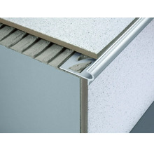 DURAL Traptredenprofiel Florentostep zilver 9 mm x 100 cm