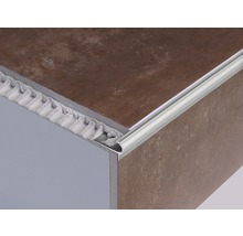 DURAL Traptredenprofiel Florentostep zilver 11 mm x 100 cm
