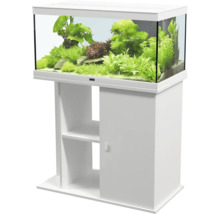 Aquarium met onderkast en beplanting
