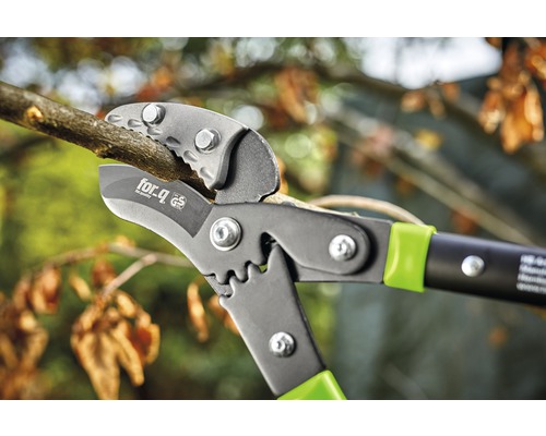 Takkenschaar bij het snoeien van een tak