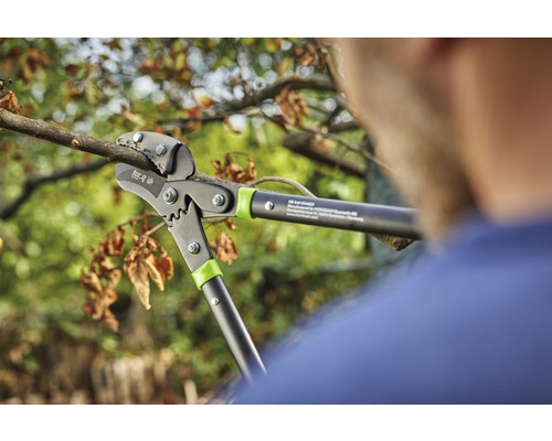 Een takkenschaar in gebruik bij het snoeien van een tak.