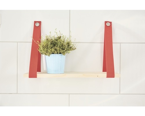 Wandplank met rode textielband en plant in blauwe pot