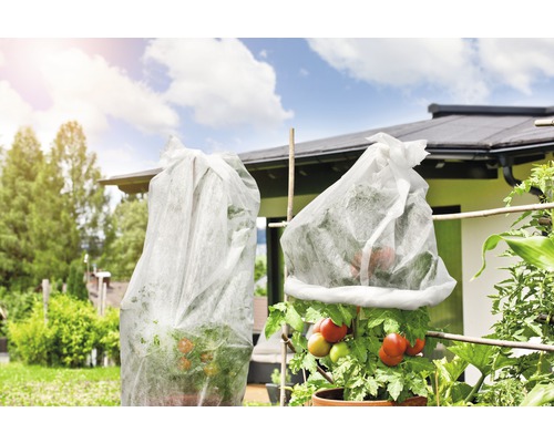 WINDHAGER Eco tomatenvlies 0,75 x 10 meter 18 g / m²