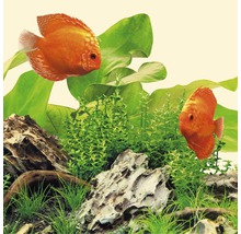 JUWEL Aquariumverlichting LED Nature 23 W, 1047 mm