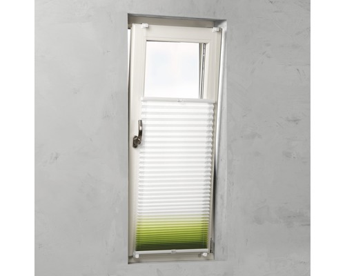 Plissé rolgordijn op het raam voor schaduw en privacy