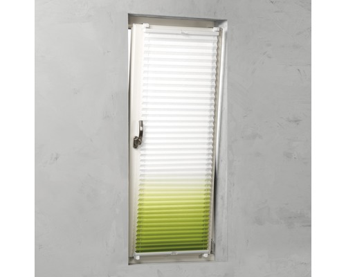 Plissé rolgordijn op het raam voor lichtregeling