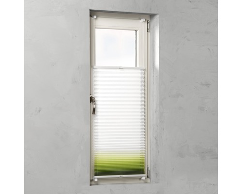 Plisségordijn op het raam voor lichtregulering en privacy