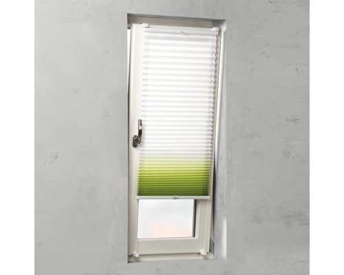 Raam met wit en groen plisségordijn