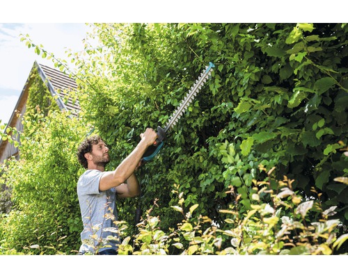 Man snoeit haag met heggenschaar in de tuin