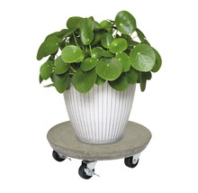 Kamerplant in pot op plantenroller