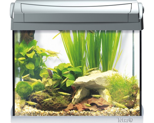 Aquarium met planten, stenen en decoratie