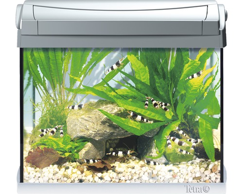 Aquarium met planten en garnalen