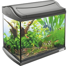 Aquarium met planten, garnalen en Tetra logo